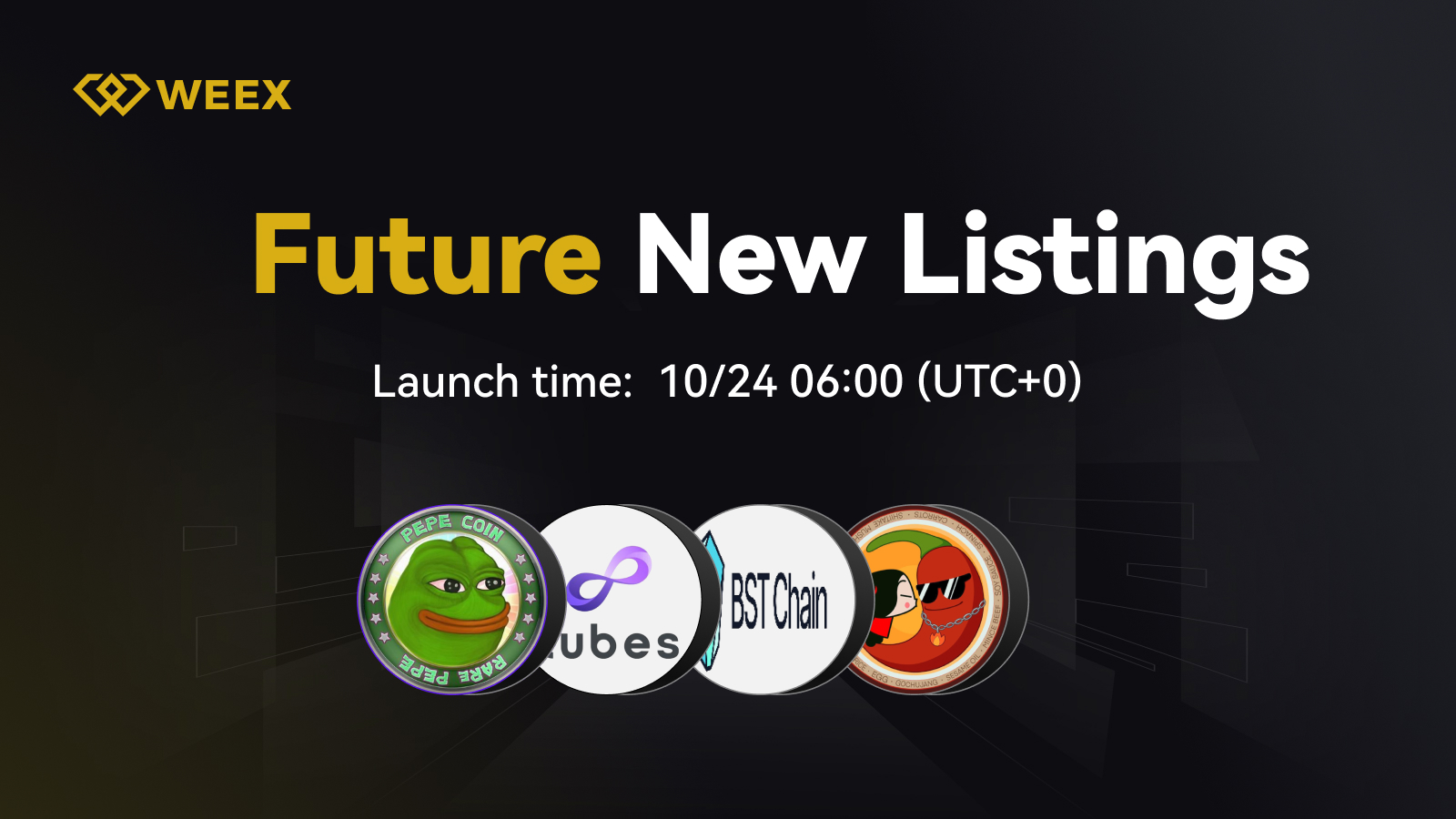 WEEX_EN_1600 × 911.jpg