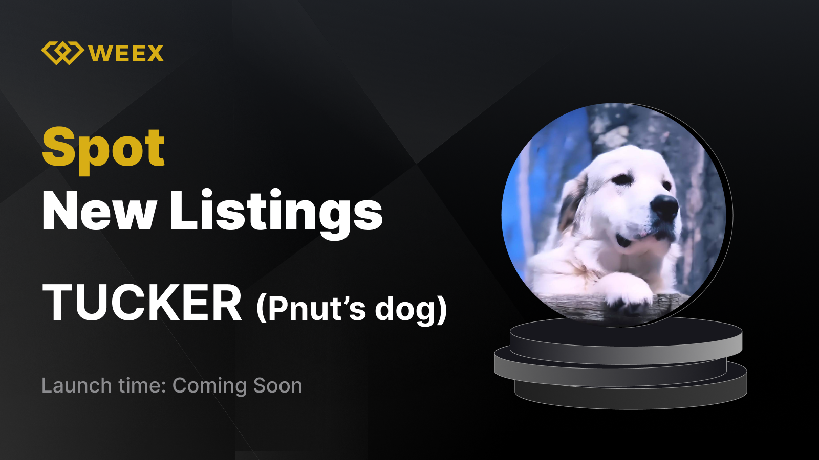 WEEX_EN_1600 × 910.png