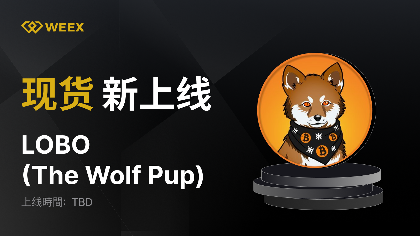 WEEX_CN_1600 × 922.png