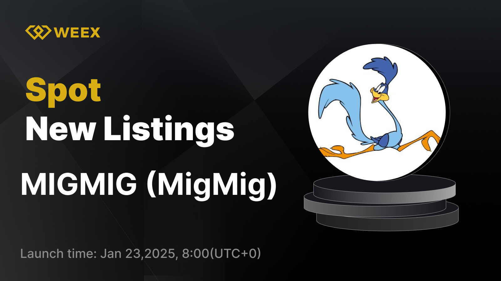 WEEX_EN_1600 × 957.png