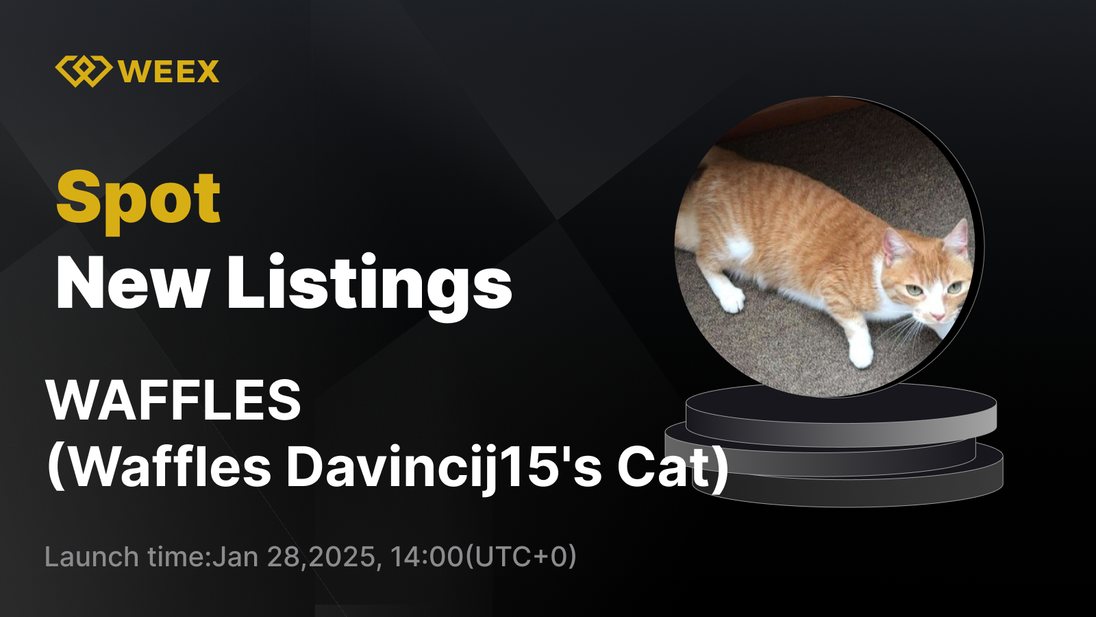 WEEX_EN_1600 × 974.png