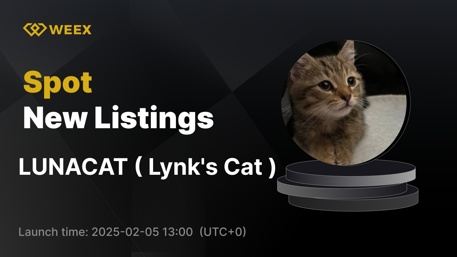 WEEX_EN_1600 × 1021.png