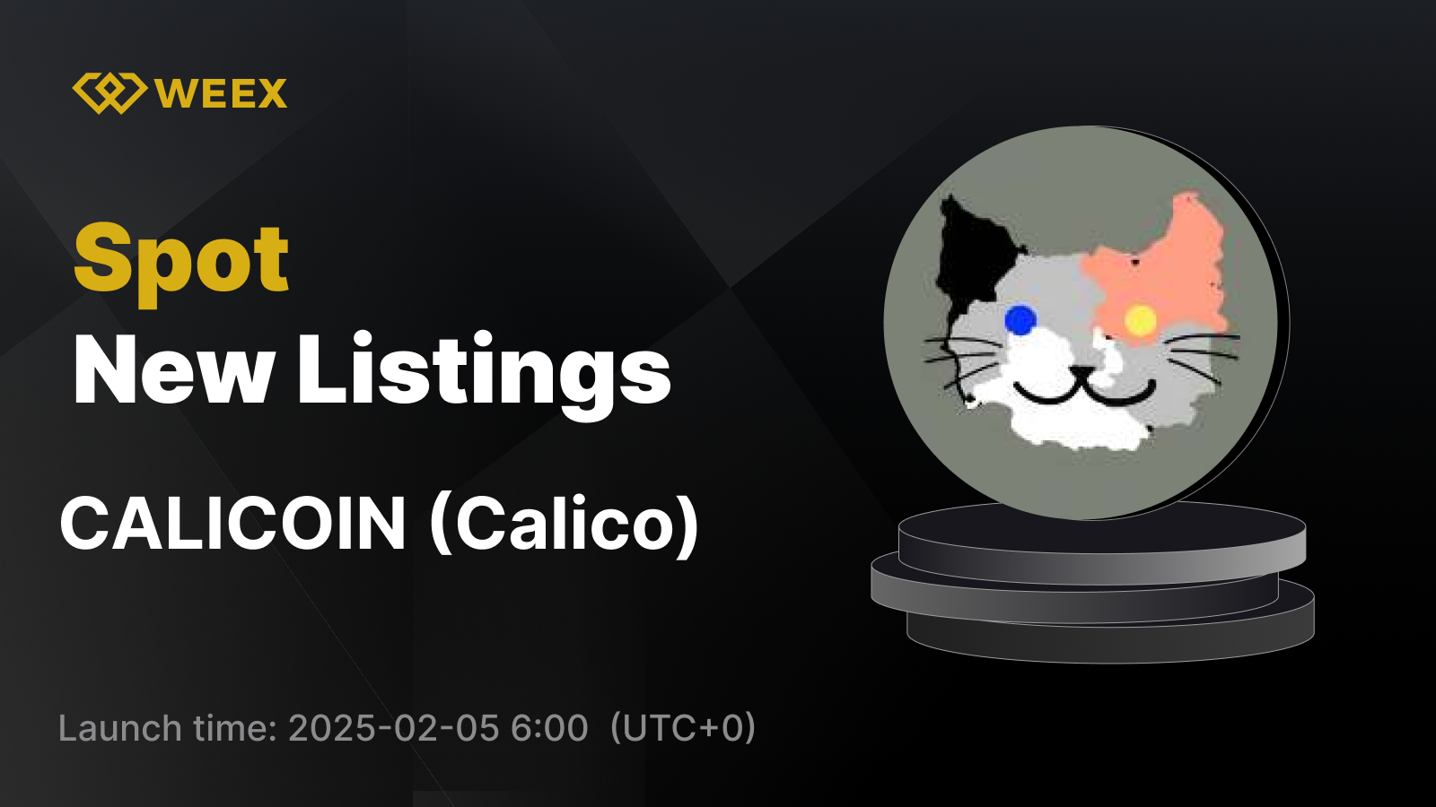 WEEX_EN_1600 × 1033 (1).png