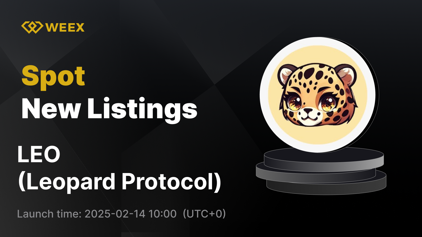 WEEX_EN_1600 × 1053.png