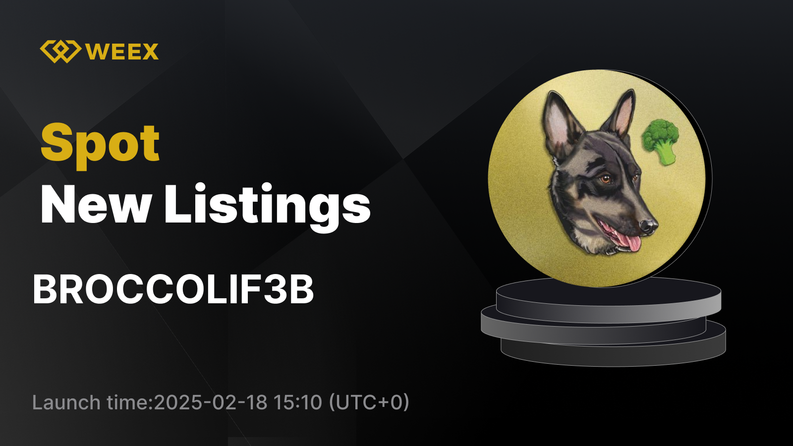 WEEX_EN_1600 × 1080.png