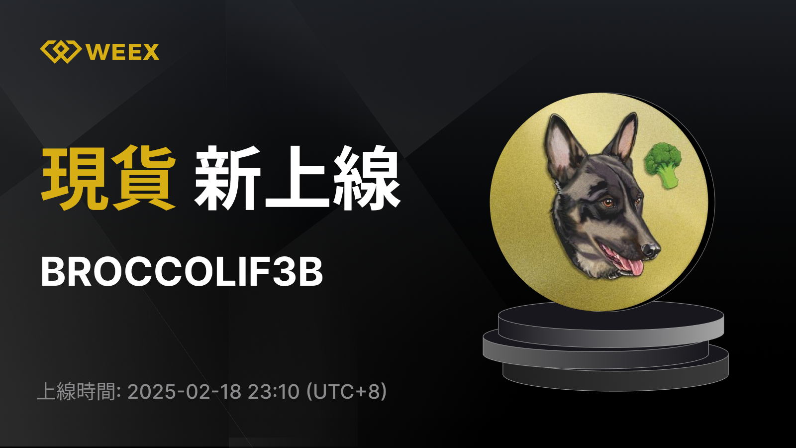 WEEX_TW_1600 × 1083.png