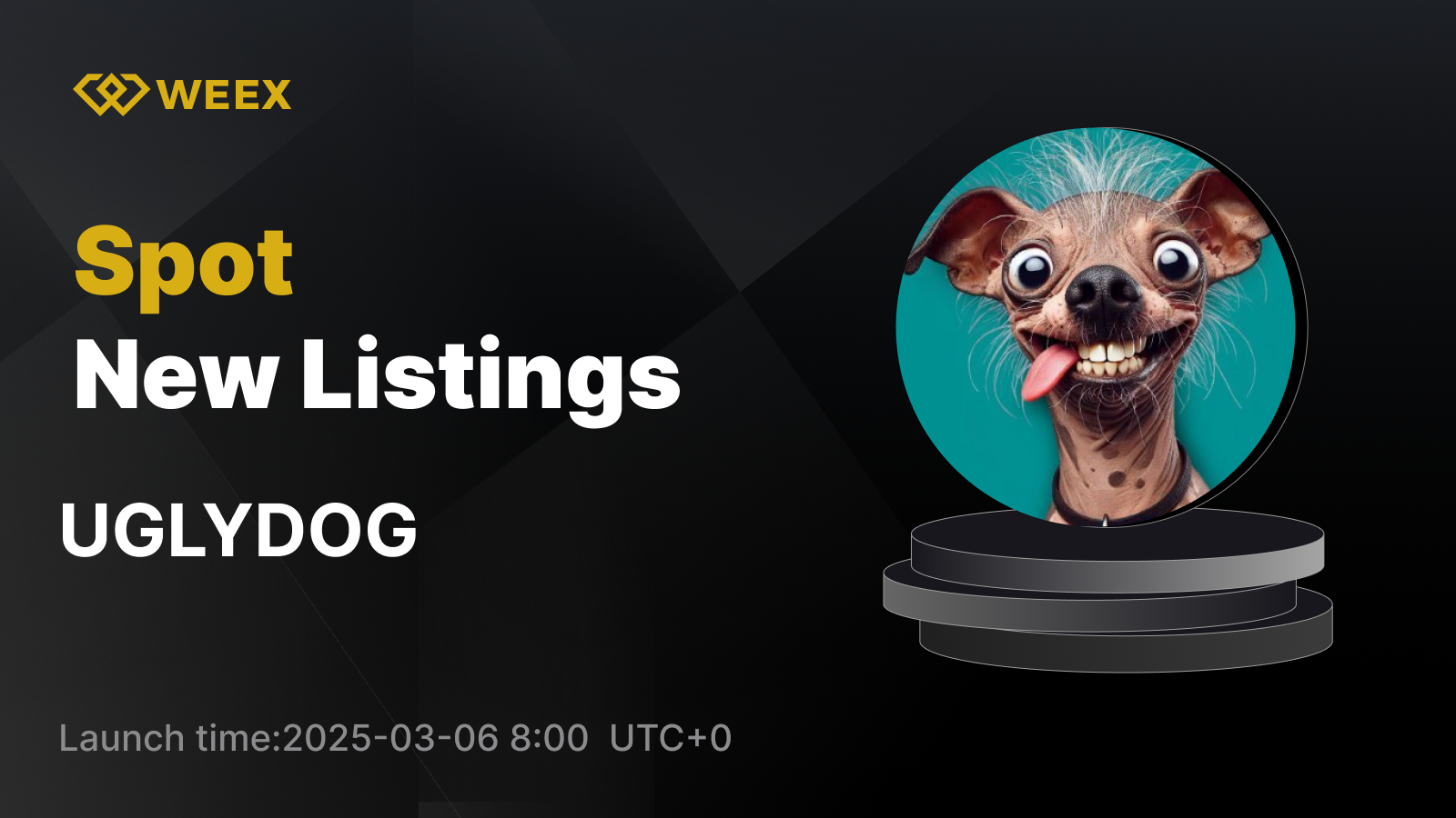 WEEX_EN_1600 × 1087.png