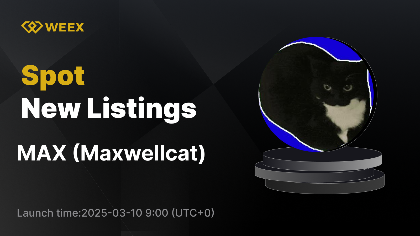 WEEX_EN_1600 × 1123.png