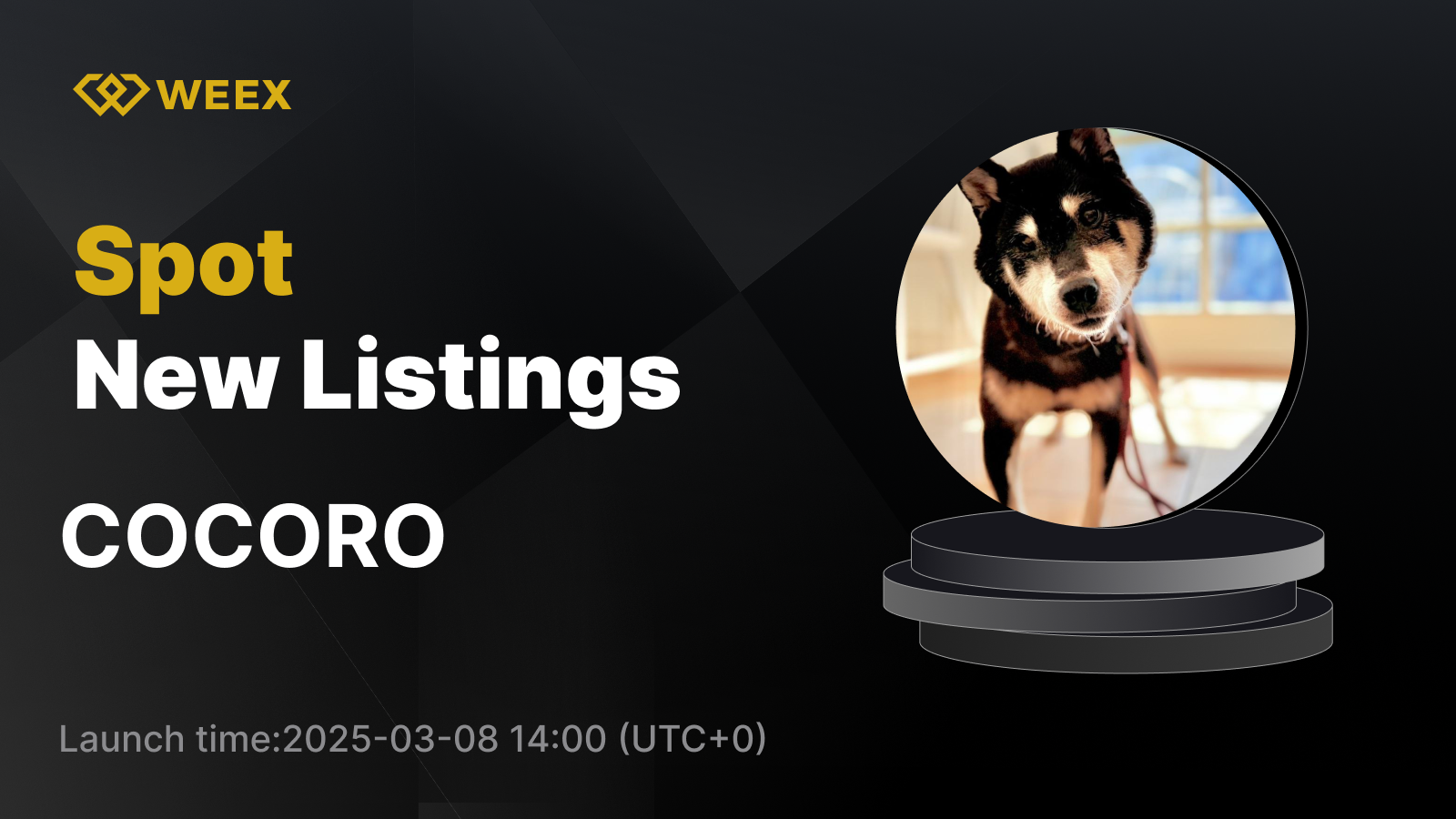 WEEX_EN_1600 × 1132.png