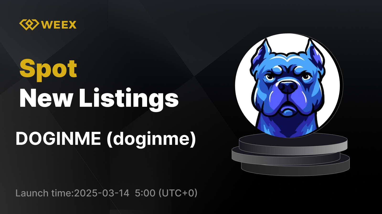 WEEX_EN_1600 × 1154.png