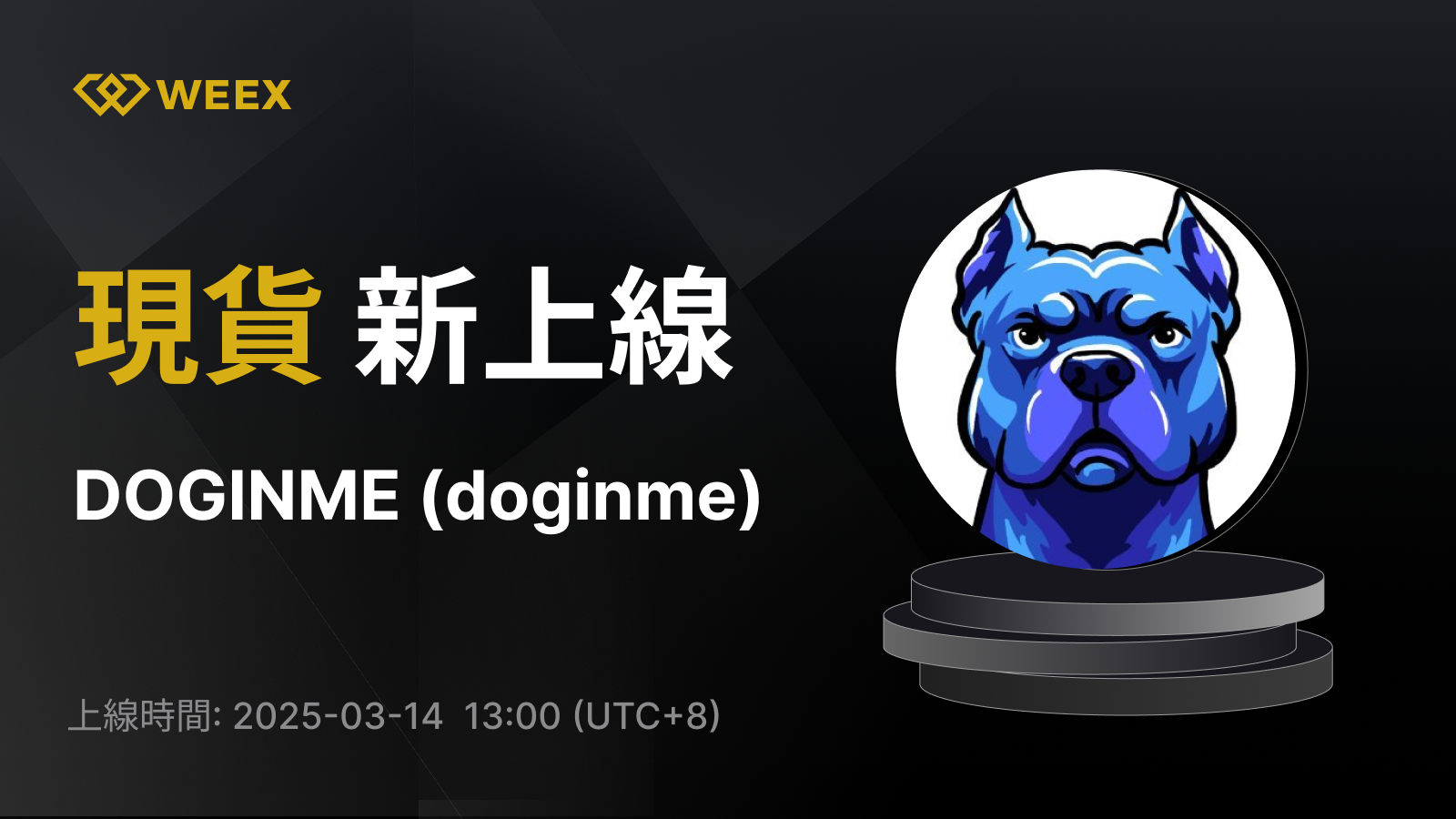 WEEX_TW_1600 × 1155.png