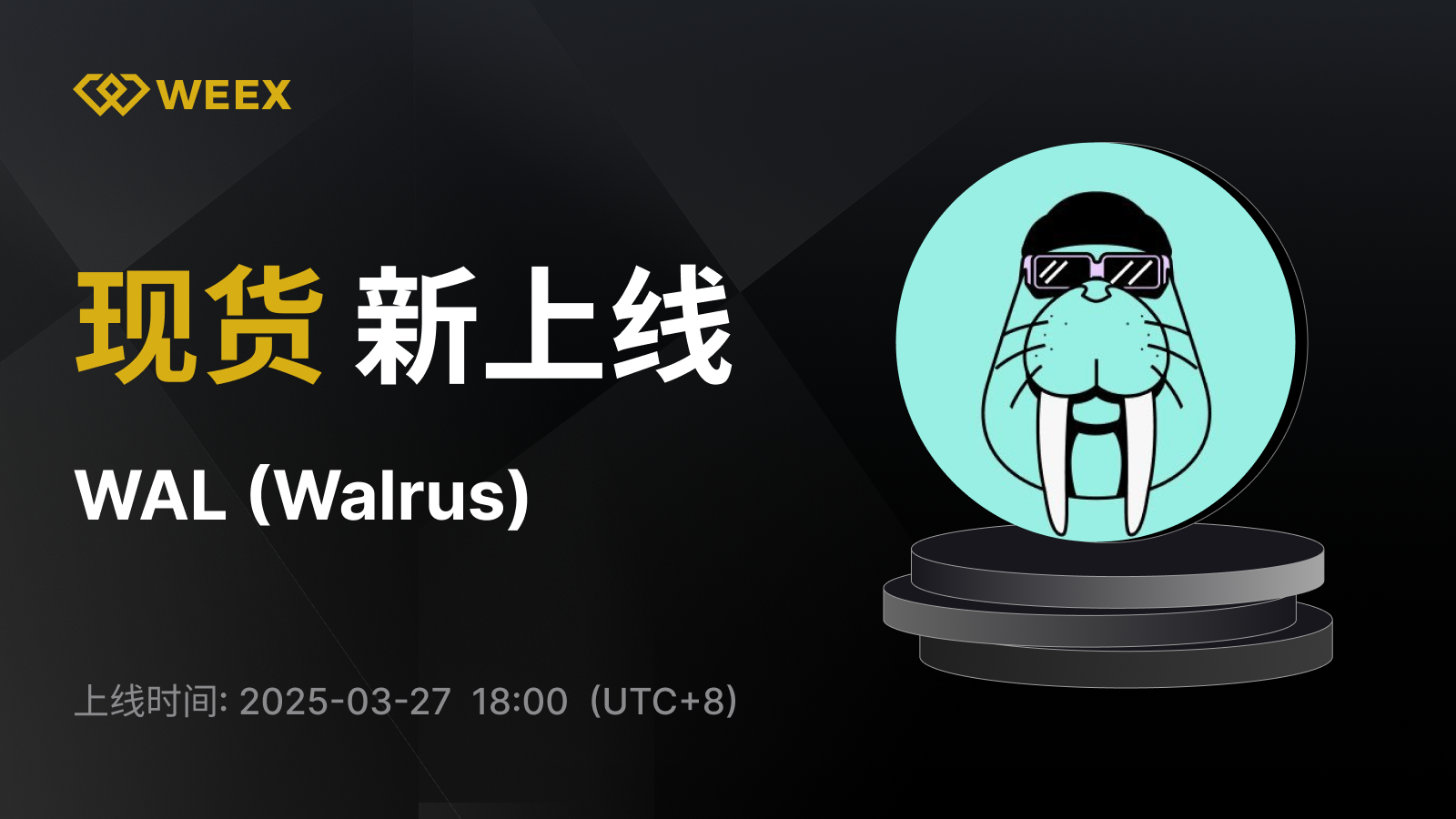 WEEX_CN_1600 × 1220.png