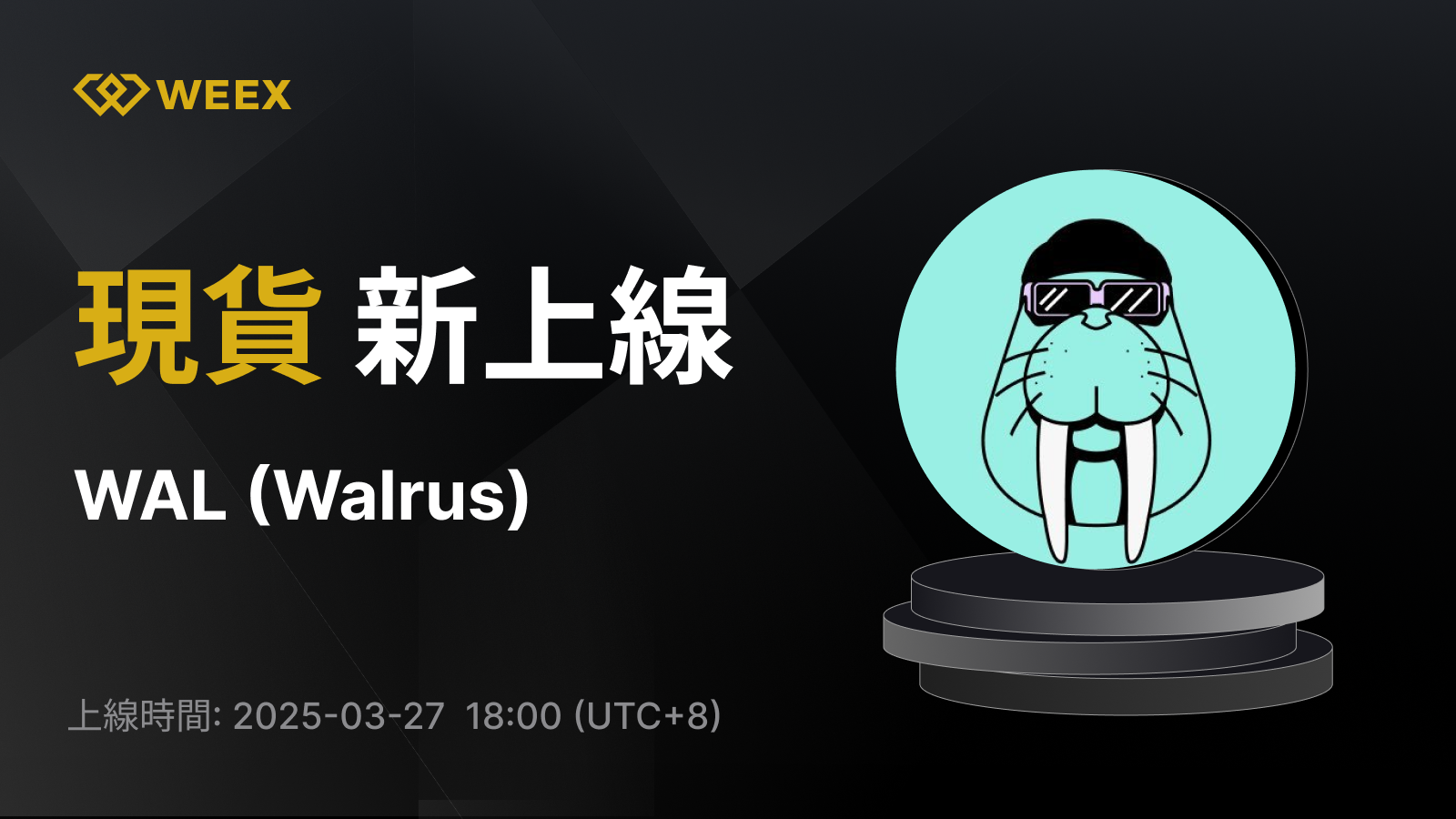 WEEX_TW_1600 × 1217.png