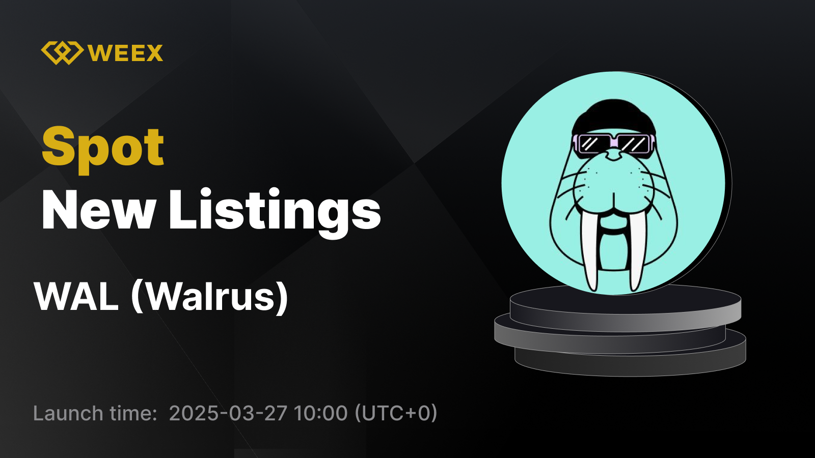 WEEX_EN_1600 × 1216.png