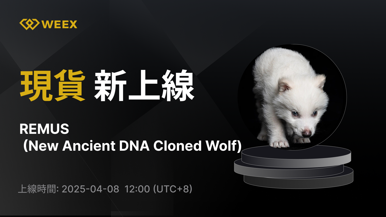 WEEX_TW_1600 × 1252.png