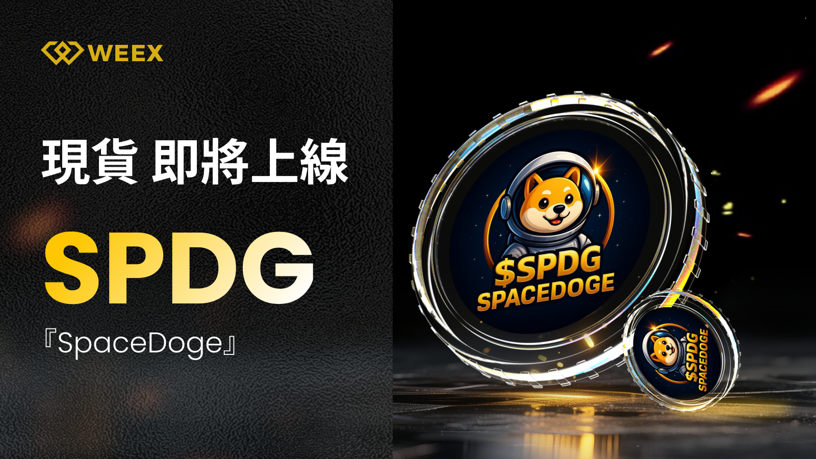 项目预告-1.png